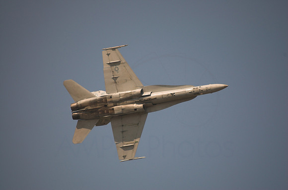 DSC_7269-01