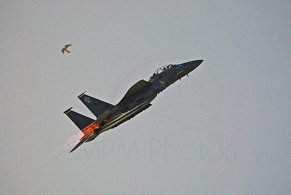 F-15_Bird_e_c-1