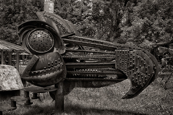 DSC_4539_HDR