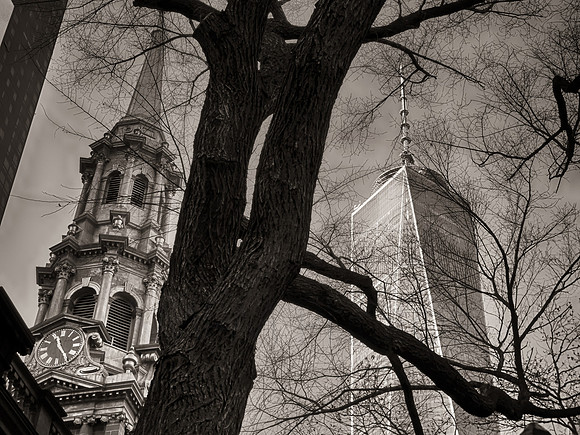 St. Paul's Freedom