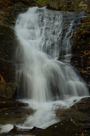 DSC_6734