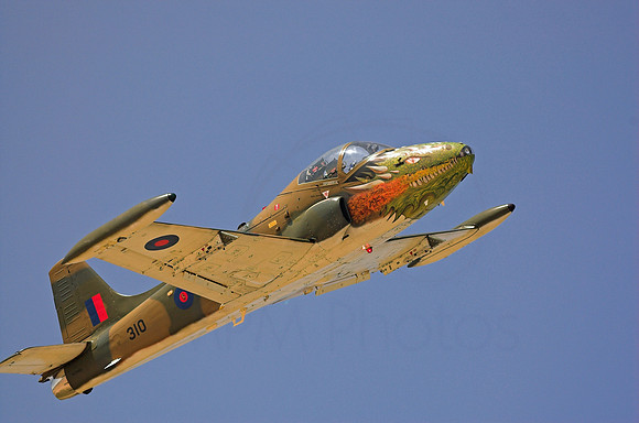 DSC_7299-01_e