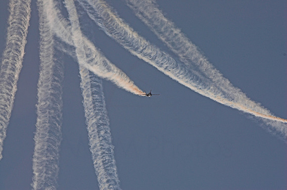 DSC_7987-01