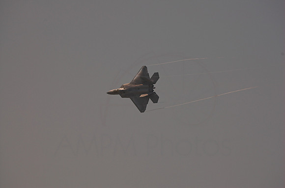 DSC_7481-01