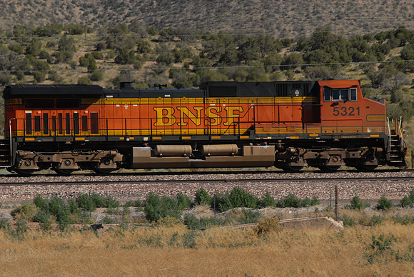 DSC_4483