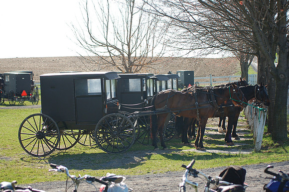 DSC_9955