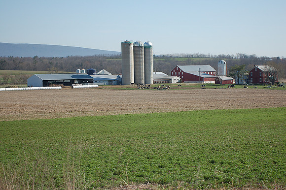 DSC_9963