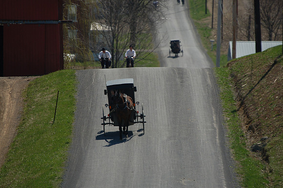 DSC_9989