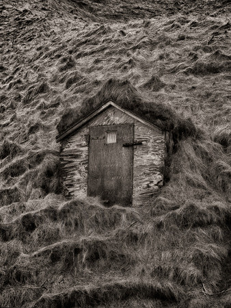 P1150056-Edit_HDR