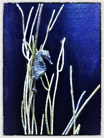Hanging On