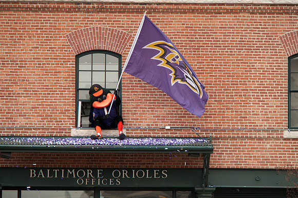 Oriole Support