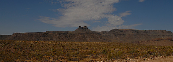 DSC_4544_c