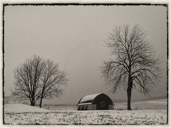 Country Barn
