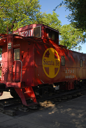 DSC_4531