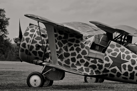 Polikarpov I-153_Slv_e (1 of 1)