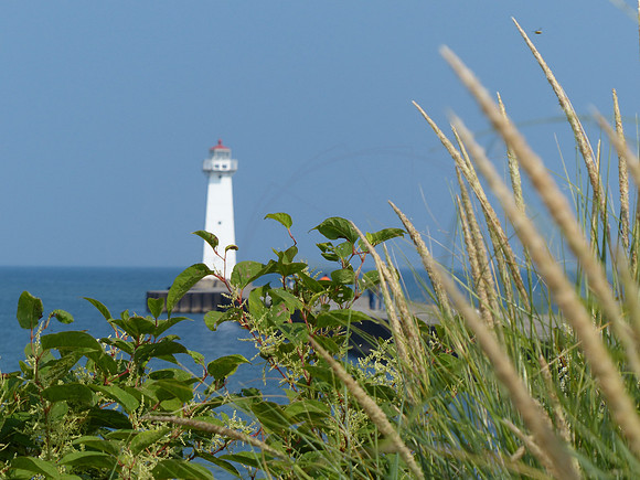 P1170506
