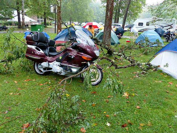 Near Miss