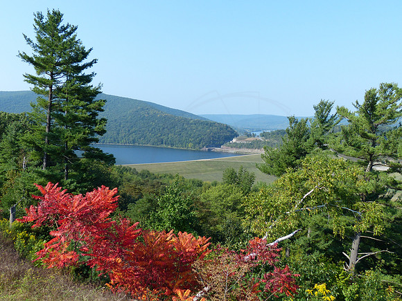 P1170924