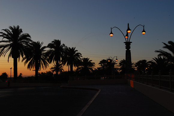 DSC_4669