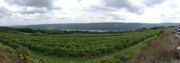 Bully Hill Vineyard