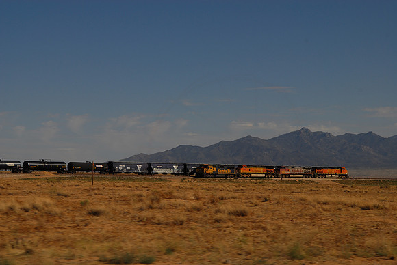 DSC_4488