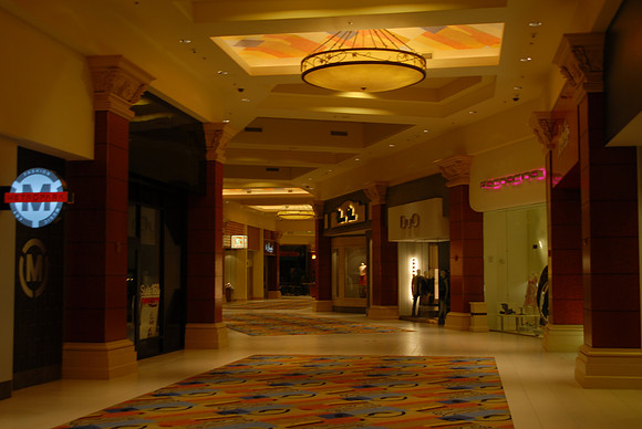 DSC_4684