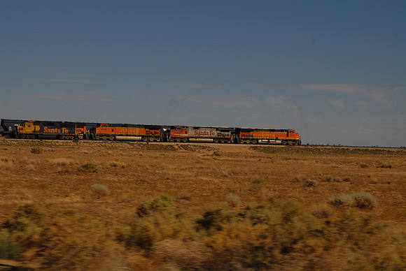 DSC_4492