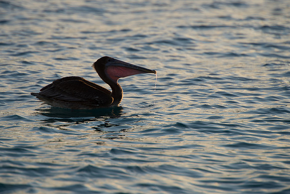 DSC_5940-Edit