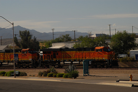 DSC_4517
