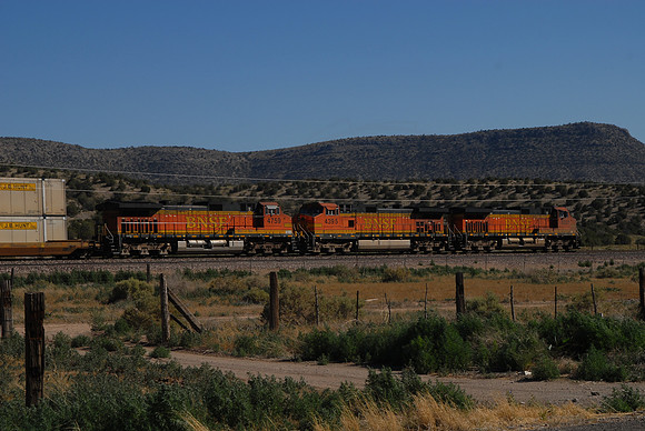 DSC_4486