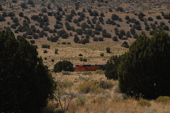 DSC_4460