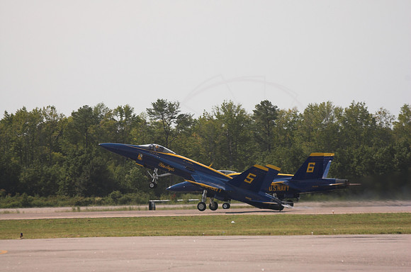 DSC_7818-01
