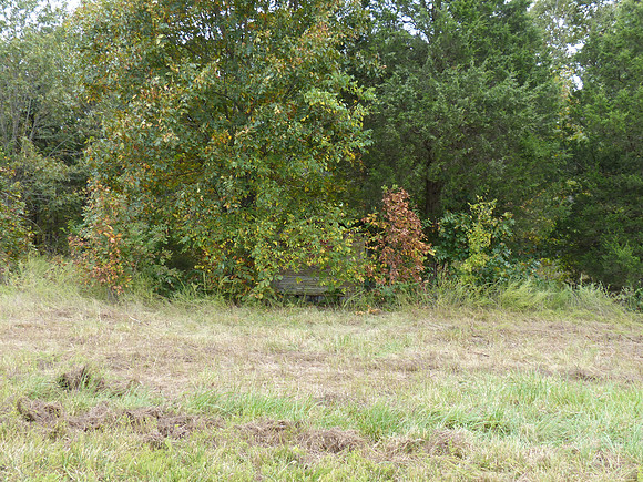 P1180766