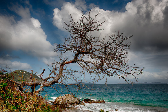 _DSC2015_HDR-Edit