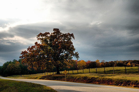 _DSC4424_redyn-1