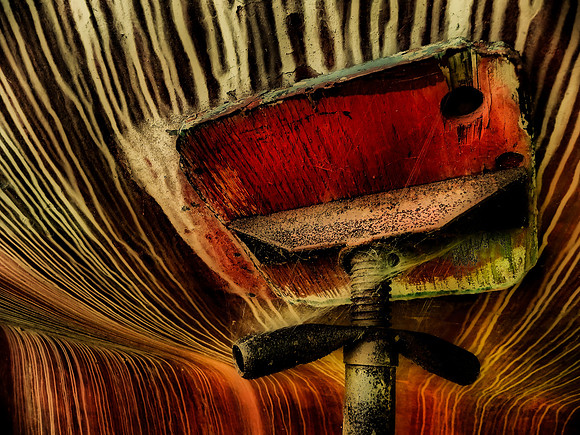 The Hull