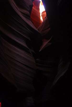 DSC_4325