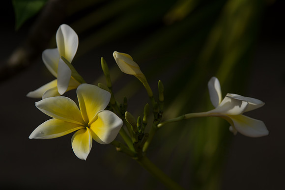 DSC_9369-Edit