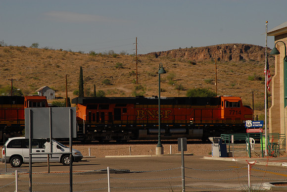 DSC_4519