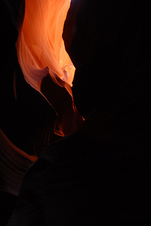 DSC_4271