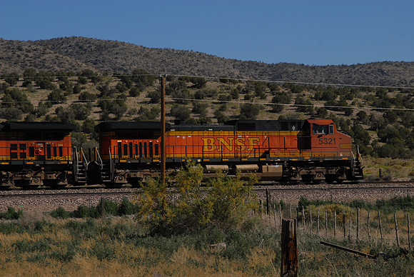 DSC_4484