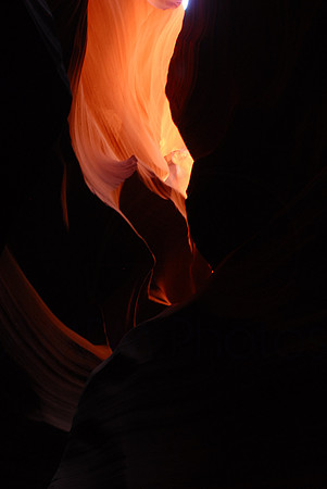 DSC_4272