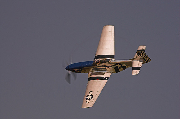 DSC_7076-01