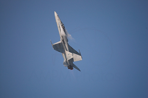 DSC_7253-01