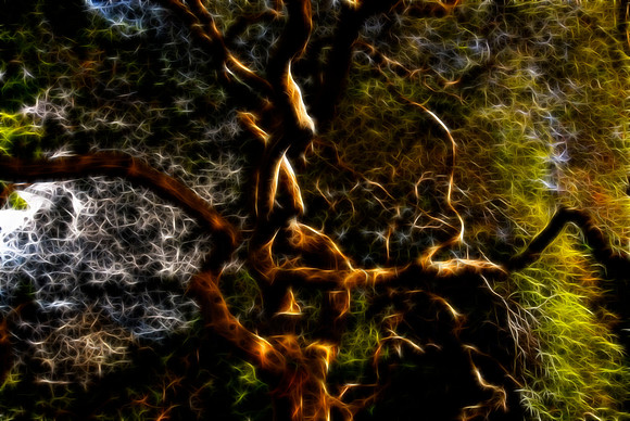 D2H_5301_e_redyn_fract