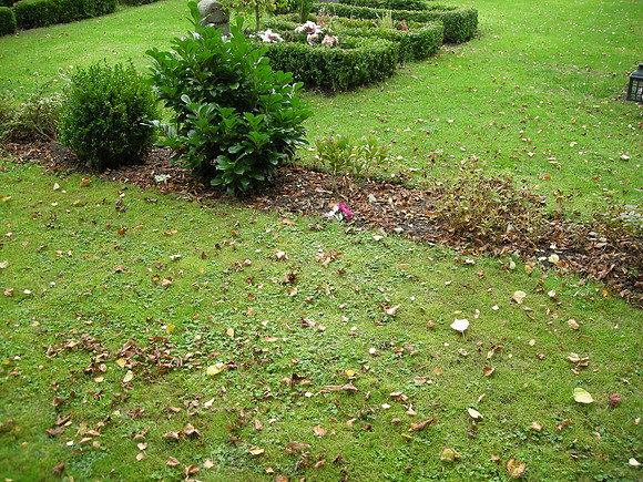 DSCN0444