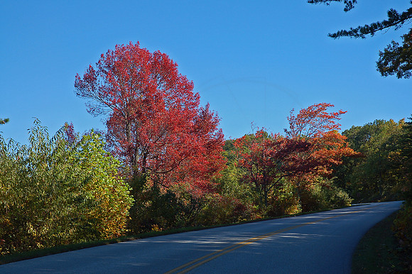 DSC_6922-1-1