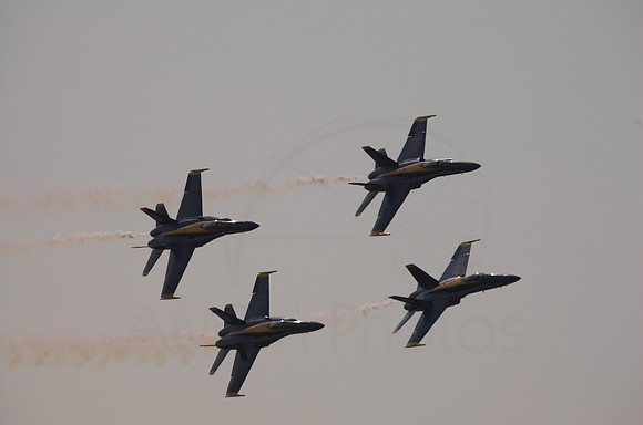 DSC_7848-01