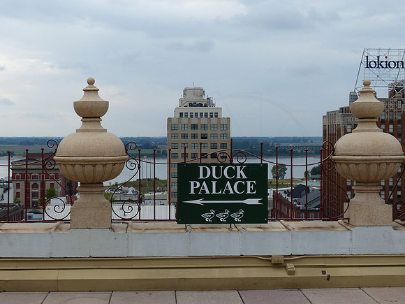 P1180287