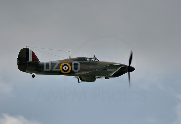 Hawk In The Sky